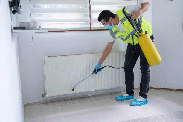 Best Pest Prevention Services  in Drain, OR